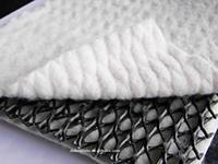 Geocomposite