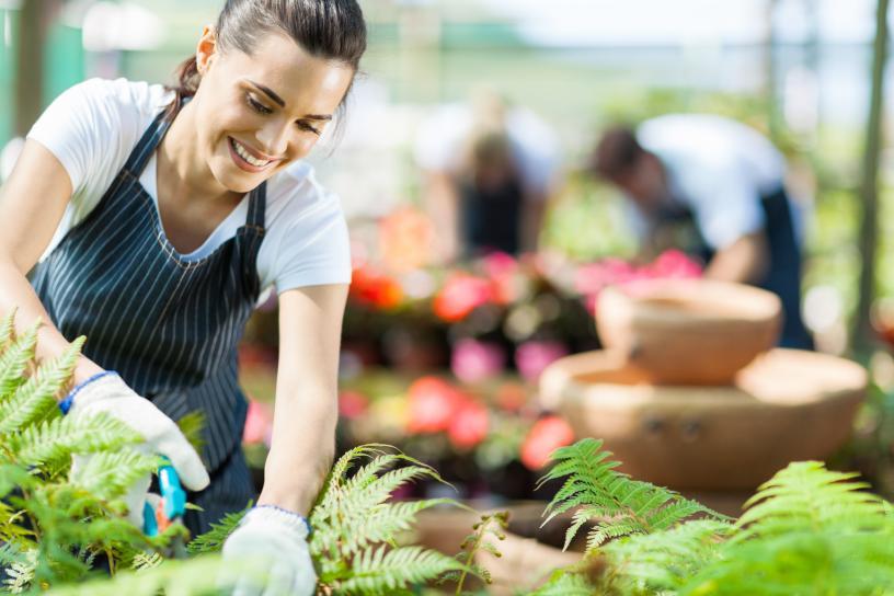 Horticulture