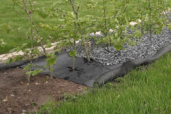 Home and Garden - WeedControl