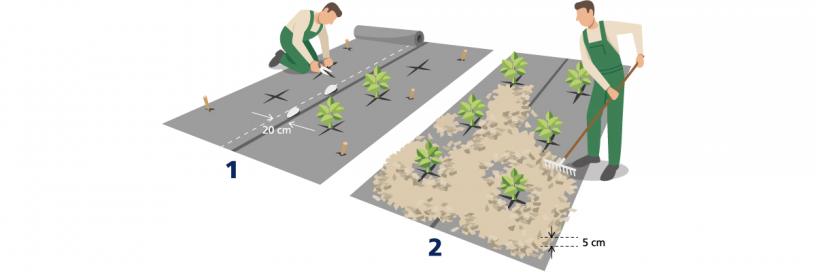 Home and Garden - Installation WeedControl