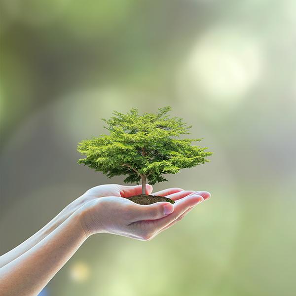 Sustainability