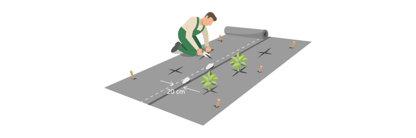 Home and Garden - Installation BioWeedControl