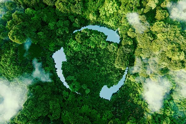Environmental Responsibility