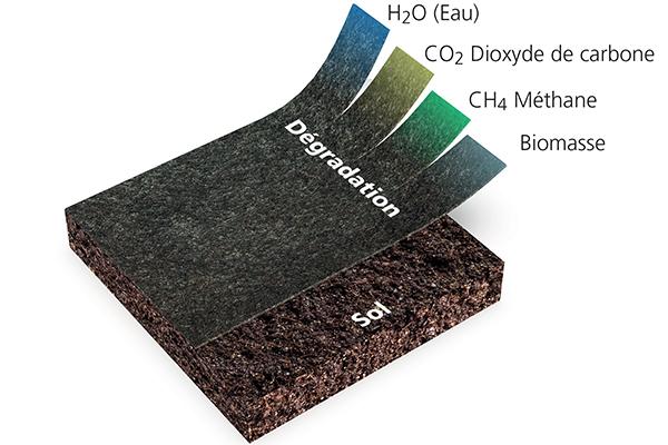 BioWeedControl Degradation