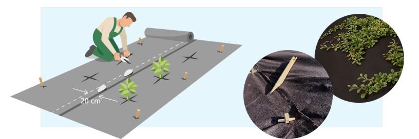 Home and Garden - Installation BioWeedControl